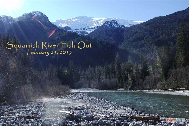Fishing for Bull Trout, Squamish River