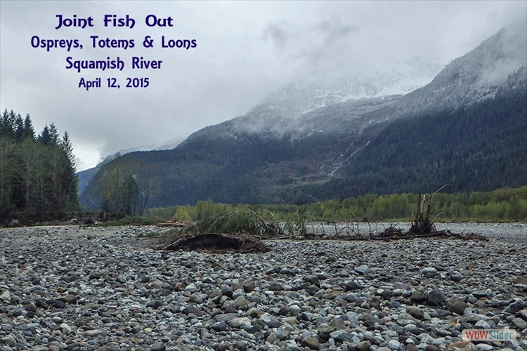 Joint Fish Out with the Totems and Loons