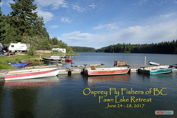 Fawn Lake Fish Out, multi-day camp