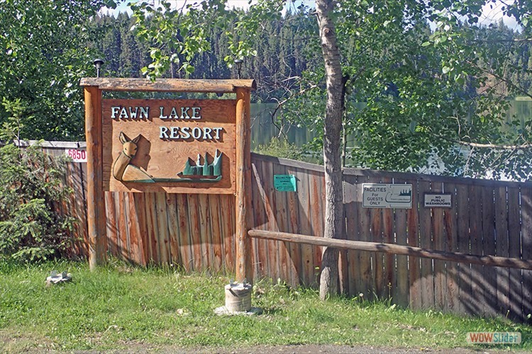 Fawn Lake Fish Out