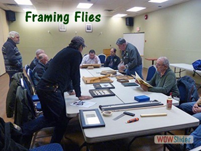Framing Flies