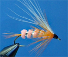 Younge's Firefly